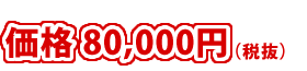 価格80,000円（税抜）