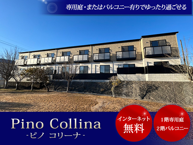 Pino Collina（ピノコリーナ）